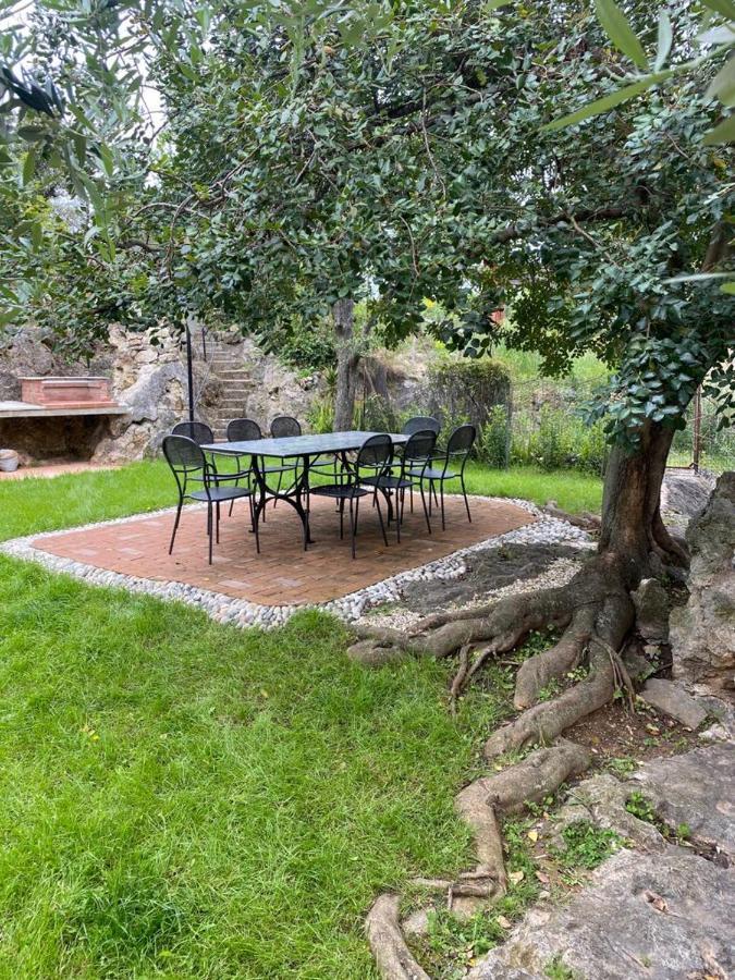 Villa Paolina Ceriale - App. 4 Posti Exteriör bild